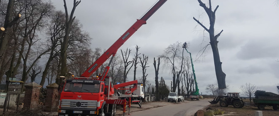 Ciężarówka obok wycinki drzew